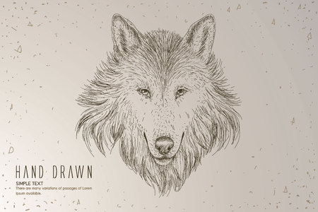 Wolf head. Hand drawn vintage illustration.のイラスト素材