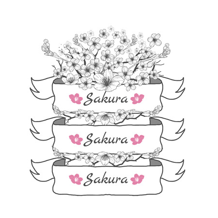 Flower ribbon of Sakura. Drawing and sketch on white background.のイラスト素材