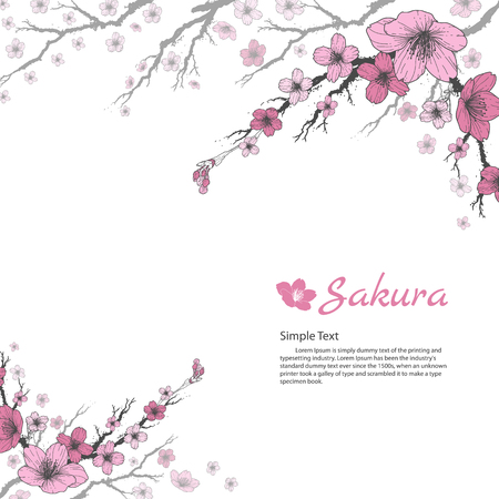 Sakura branch with sweet pink flowers on white background.のイラスト素材
