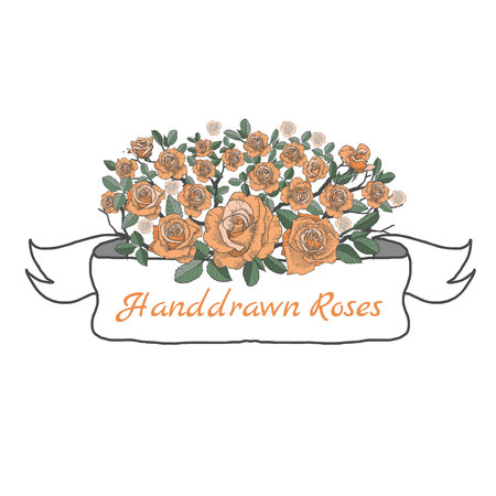 Flower ribbon of rose. Drawing and sketch on white background.のイラスト素材