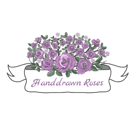 Flower ribbon of rose. Drawing and sketch on white background.のイラスト素材