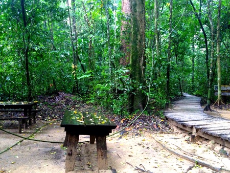 Pathway to Worlds wonder Palawan Underground Riverの素材