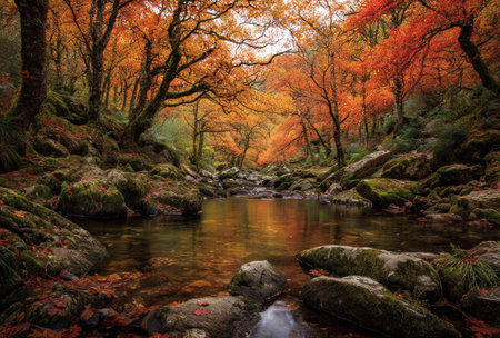 A vibrant image presents a tranquil scene with a flowing stream reflecting a forest. The photograph features warm hues of orange and brown from the trees and foliage. Mossy rocks surround the water, creating a natural environment. Suitable for editorial use, this image could illustrate nature's beauty.の素材