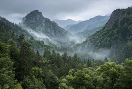 A scenic view captures towering mountains shrouded in mist, revealing layers of forest. The composition features diverse shades of green in trees and vegetation, enhanced by soft lighting. This nature scene could be suitable for environmental projects or visual content depicting travel and exploration.の素材