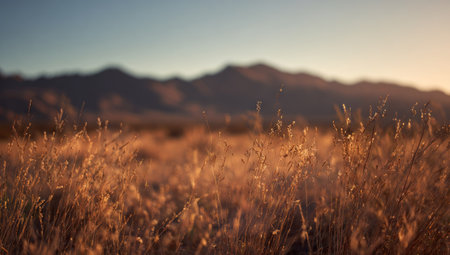 An outdoor landscape scene presents a vast field of golden grasses under a softly lit sky. Mountains are silhouetted in the distance. The warm color palette and soft lighting create a peaceful atmosphere. Ideal for use in nature-themed projects, websites, or editorial publications.の素材