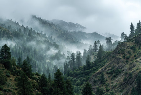 An aerial view presents a landscape filled with evergreen trees shrouded in fog. The composition emphasizes the contrast between dark green foliage and white mist. This image conveys a sense of depth, with the atmospheric perspective enhancing the overall mood, suitable for editorial and commercial use.の素材