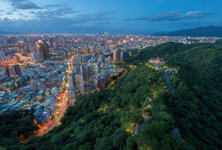An aerial view presents a sprawling cityscape at dusk, showcasing numerous illuminated buildings. A lush green hillside dominates the foreground, contrasting with the urban environment. The scene is bathed in the soft glow of twilight. Suitable for commercial or editorial applications such as travel and architecture.の素材