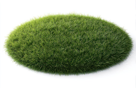 An isolated image presents an oval patch of green grass against a white backdrop. The grass features a natural texture and vibrant green color, likely illuminated by overhead lighting. This composition could be used for ecological themes, environmental design, or concepts related to nature and growth, providing copy space.の素材