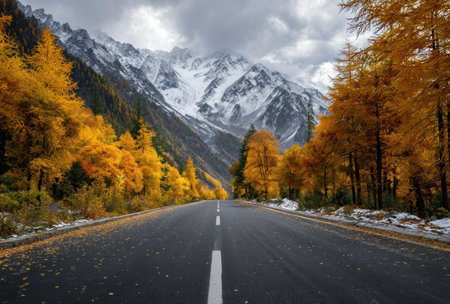 An asphalt road stretches through an autumn forest towards towering, snow-covered mountains. The scene showcases vibrant yellow and orange trees under a cloudy sky. The composition features leading lines and natural lighting. This image could be suitable for travel, environmental, or scenic related commercial projects.の素材