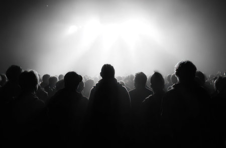 A crowd of people are silhouetted against a bright, hazy light source, creating a high-contrast image. The monochromatic scene suggests a potential indoor setting with artificial illumination or a foggy outdoor environment. The composition could serve various commercial or editorial purposes.の素材