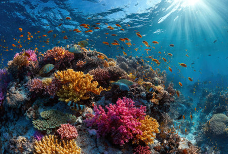 This image showcases a colorful underwater scene featuring a coral reef teeming with marine life. The composition highlights various coral formations in shades of orange, pink, and yellow. Numerous fish swim through the clear blue water, illuminated by sunlight. This scene may be suitable for illustrating marine biology or environmental conservation.の素材