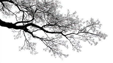 A close-up view presents a monochrome tree branch adorned with small, delicate blossoms. The composition features high-contrast lighting, emphasizing the textures of the bark and petals. Suitable for various applications, including website design and print materials, the image offers a minimalist aesthetic and visual interest.の素材