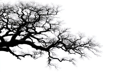 This image presents a stark silhouette of a tree against a clean white backdrop. The detailed network of branches creates a visually engaging pattern. The high-contrast composition and graphic style suggest potential uses in design projects, advertisements, and editorial content focused on nature or art.の素材