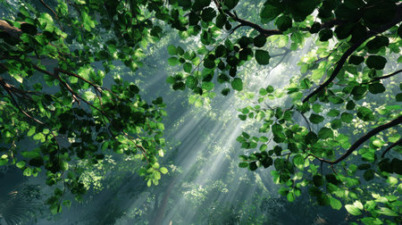 An overhead view reveals a dense forest canopy filled with vibrant green foliage. The scene is bathed in bright sunlight, creating beams that penetrate through the leaves. The image presents a natural composition with soft textures and varying shades of green. Potential uses include environmental or nature-related projects.の素材