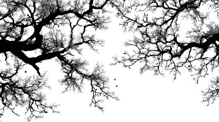 Black tree branches spread across a white backdrop in this overhead view. The graphic features intricate details, contrasting light and shadow. Suitable for various design projects, it could be used in editorial layouts or for decorative purposes, providing a natural yet abstract visual element.の素材
