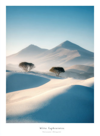 Desert sunrise, two trees, pale sand dunes, hazy mountainsの素材