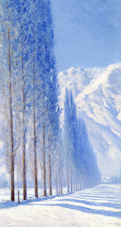 Frosty winter trees line a snowy pathの素材