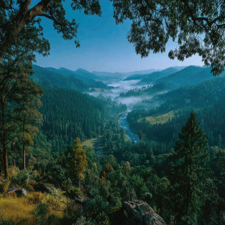 Panoramic view of the landscape, with mountains shrouded in fog in the top left, a green forest below, and a blue sky on a sunny day. This is a detailed, hyper-realistic photograph, captured using a Canon EOS M50 Mark II camera with a 24mm lens at an f/8 aperture setting. --chaos 30 --stylize 750 --v 7 Job ID: 921f3058-27b9-49df-927a-342aa4413835の素材