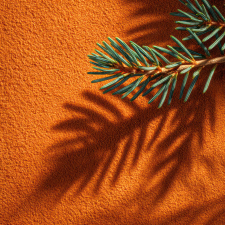 An evergreen branch with vibrant green needles is set against an orange textured surface. The branch casts a distinct shadow, creating a visual contrast. The lighting highlights the texture and form, potentially suitable for backgrounds and decorative elements. This imagery is versatile for a variety of editorial and commercial applications.の素材