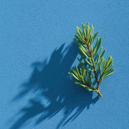 An evergreen branch casts a long shadow on a textured blue surface. The image showcases the branch's green needles and brown stem with overhead lighting. The composition suggests an outdoor environment and is suitable for various commercial uses, including product backgrounds and seasonal designs.の素材