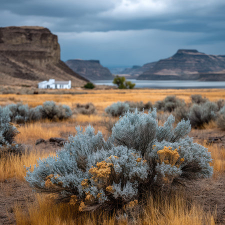 A scenic landscape showcases a foreground of dry vegetation and a light-blue bush. Distant mountains and a body of water are visible in the background, set under a cloudy sky. The composition emphasizes natural beauty, with potential uses for environmental or travel-related publications.の素材