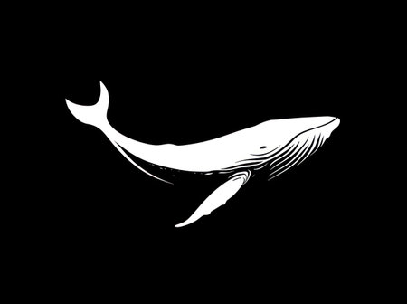 A graceful white whale silhouette is depicted against a stark black background. The image showcases clean lines and a minimalist style. This artistic design could be used for various purposes such as illustrations, logos, or design elements. The high contrast makes it suitable for both print and digital applications.の素材