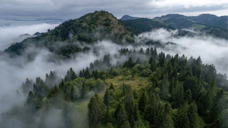 An aerial perspective showcases mountainous terrain enveloped by dense fog and verdant forests. The composition highlights the natural landscape, featuring a range of green hues and cloudy formations. This image is suitable for various commercial purposes, including environmental and travel-related content, promoting nature or conservation.の素材
