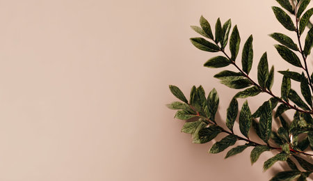 The image showcases close-up of green leaves with a subtle gradient effect set against a neutral beige background. The composition features the foliage in the bottom right corner, creating a balance. Suitable for various applications, this image could be employed in both commercial and editorial contexts, such as websites and print materials.の素材