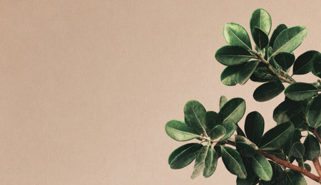 This image showcases vibrant green plant foliage against a simple, pale brown background. The composition features a branch with glossy leaves. The lighting creates subtle shadows. This versatile visual is suitable for various applications, including website design, and print materials.の素材