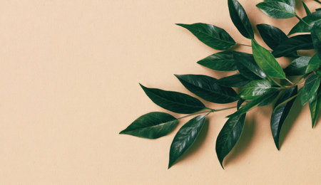 A close-up captures a branch with vibrant green leaves against a soft beige backdrop. The leaves exhibit a glossy texture and natural arrangement. The composition suggests an indoor setting with even lighting. Suitable for various applications, including print and digital projects, as well as editorial and commercial uses.の素材