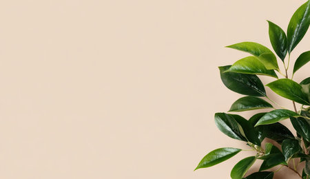 A close-up captures vibrant green leaves of a plant against a soft, beige background. The composition features an asymmetrical arrangement with ample copy space. This image displays natural textures and colors, suitable for various design projects and commercial applications that require a clean and simple aesthetic.の素材