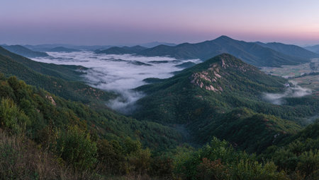 An aerial view presents a mountain range at dawn or dusk, with valleys filled with fog. The scene displays a variety of greens and purples, lit by soft lighting. The composition and colors lend themselves to various editorial and commercial applications. The mountain is covered with trees.の素材