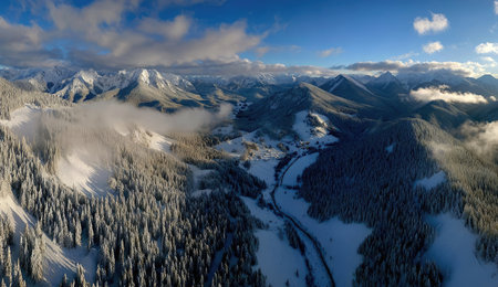 An aerial perspective showcases a mountainous landscape blanketed in snow. The composition highlights textured evergreen forests and towering peaks beneath a partly cloudy sky. The lighting suggests a bright day, potentially suitable for travel or environmental themes. Ideal for editorial content or promotional materials.の素材