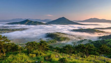 An aerial perspective shows a serene mountain landscape. Valleys are filled with low-lying fog under a clear sky. Green forests dot the foreground, and distant mountains create a layered composition. The lighting suggests either sunrise or sunset, suitable for various editorial and commercial applications.の素材