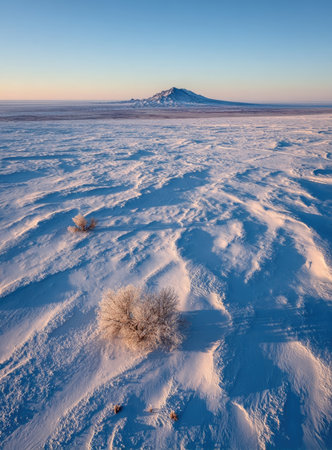 An aerial view presents a snow-covered landscape with gentle undulations and a distant mountain. The scene showcases cool, muted colors, with white and blue tones dominating. Soft lighting suggests early morning or late afternoon. This image could be suitable for environmental, travel, or seasonal themes.の素材