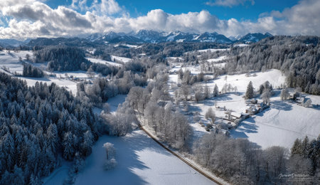 An aerial view presents a snow-covered valley with dense evergreen trees and distant mountain ranges. The scene features a bright blue sky dotted with puffy white clouds, and the composition is illuminated by strong sunlight. The image could be used for various projects related to nature, travel, or winter themes.の素材