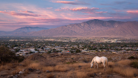 A white horse grazes peacefully in a vast landscape bathed in the warm hues of sunset. The image displays a scenic view featuring distant mountains under a pastel-colored sky. The scene is illuminated by soft, natural light, creating a serene ambiance suitable for various editorial and commercial applications.の素材