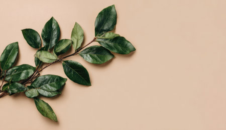 A sprig of vibrant green leaves rests against a smooth beige background, creating a minimalist composition. The glossy leaves contrast with the muted backdrop, suggesting a natural and serene environment. This image is suitable for various commercial applications, including editorial content and design projects.の素材