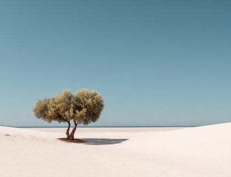 A single tree stands on a sandy surface, silhouetted against a clear blue sky. The composition emphasizes the tree's form and texture with a focus on natural light. Suitable for various applications, this image could be used to illustrate concepts related to landscape, environment, or nature.の素材
