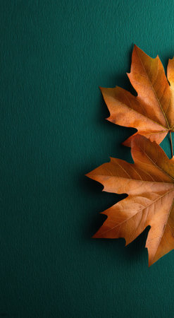 Two dry maple leaves, exhibiting shades of brown and orange, are placed against a dark green textured backdrop. The high-angle composition highlights the detailed veins and edges of the foliage. This image could be used for various design projects, including seasonal campaigns or editorial content.の素材