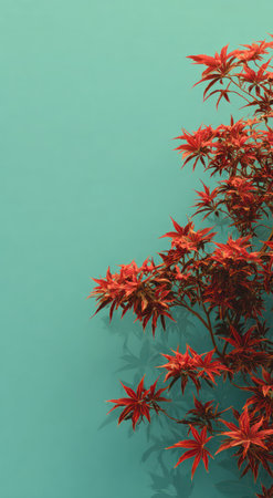This image showcases the striking contrast of vivid red maple leaves against a solid teal wall. The composition highlights the organic texture of the foliage and the smooth, clean surface of the background. It is an ideal visual for editorial content and commercial applications.の素材
