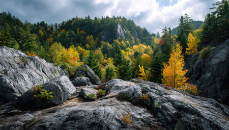 An outdoor landscape features a vibrant forest with autumn foliage, and a rocky foreground. The image displays natural colors, including shades of green, yellow, and brown, under a cloudy sky. The composition may be suitable for editorial or commercial applications, depicting scenic nature.の素材