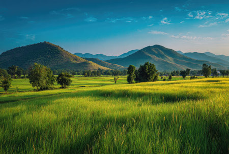 A vibrant landscape showcases vast green fields leading towards rolling hills and mountains. The scene is illuminated by natural sunlight, with a clear blue sky overhead. The composition presents a sense of openness and tranquility. Suitable for travel, nature, or environmental themed projects, this image could be used for various commercial purposes.の素材