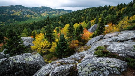 A scenic view captures a forest transitioning into autumn. The composition features rocky terrain in the foreground and a dense forest with colorful leaves. Green, yellow, and orange hues dominate the scene under an overcast sky, suitable for environmental or travel content. The landscape offers diverse commercial possibilities.の素材
