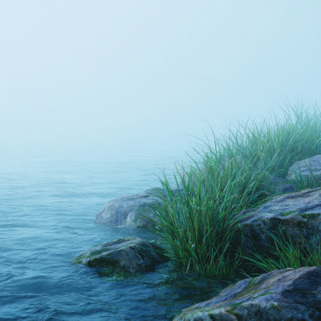 A serene coastal scene features water gently lapping against rocky terrain. Lush green grass grows among the stones under a soft, diffused light. The cool color palette and calming composition evoke a sense of peace. Suitable for editorial and commercial projects conveying natural beauty and tranquility.の素材