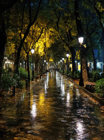 A wet pathway reflects the glow of streetlights in this nighttime scene. The composition features a symmetrical arrangement of trees and lamps, creating a sense of depth. Dominant colors include green and gold, with wet pavement adding texture. Suitable for various editorial and commercial applications.の素材