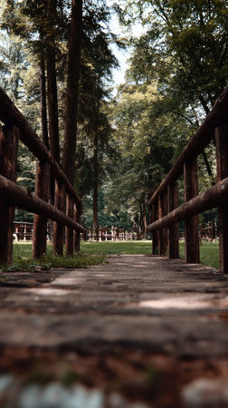 A wooden bridge extends into a dense forest, leading the eye along a sunlit pathway. The scene is dominated by shades of green and brown, with textural details of wood and foliage. The overhead lighting suggests daytime. This image is suitable for various commercial uses, including stock photography and editorial content.の素材