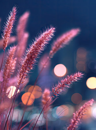Close up view of delicate pink grass stalks against a blurred backdrop of glowing city lights. Soft, diffused light creates a romantic ambiance, ideal for use in a greeting card or a nature-themed poster. The image evokes a peaceful scene, perfect for editorial or commercial use.の素材