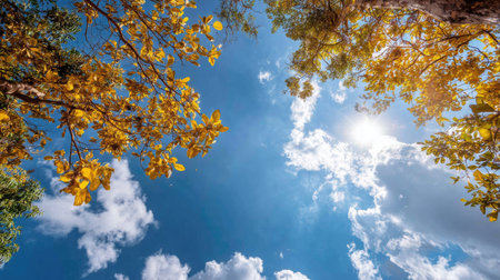 An image captures a bright blue sky partially obscured by the yellow foliage of trees. The sunlight creates a lens flare. The composition features a natural, upward perspective, creating a sense of depth. Suitable for various applications, including print or digital media for decorative or commercial use.の素材