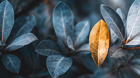 This image showcases a vibrant golden leaf prominently positioned amidst a backdrop of bluish-toned leaves. The macro shot highlights detailed textures and variations in tone creating depth. The composition evokes a sense of natural beauty, suitable for diverse commercial and editorial purposes.の素材